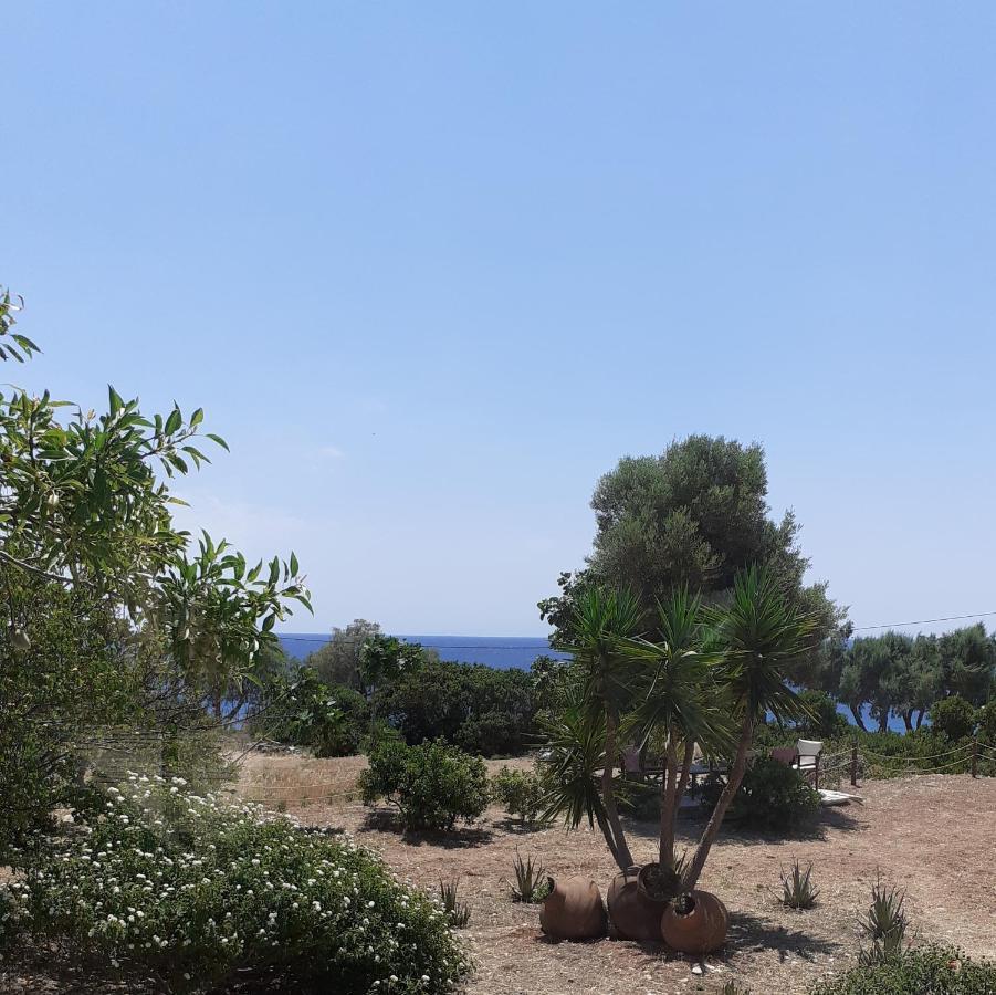 Masticha Village Apartments & Studios Monolia Exterior photo